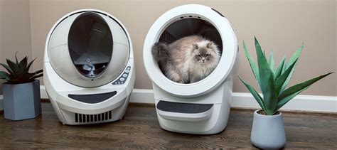 Cats are commonly kept as house pets but can also be farm cats or feral cats; the feral cat ranges freely and. . Litter robot 4 green light